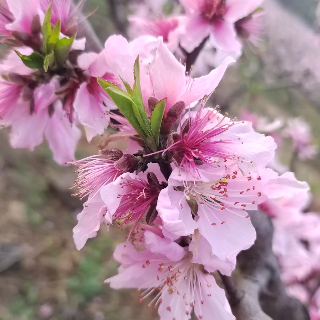 💞ℳ꧔ꦿ᭄搁💞浅💞