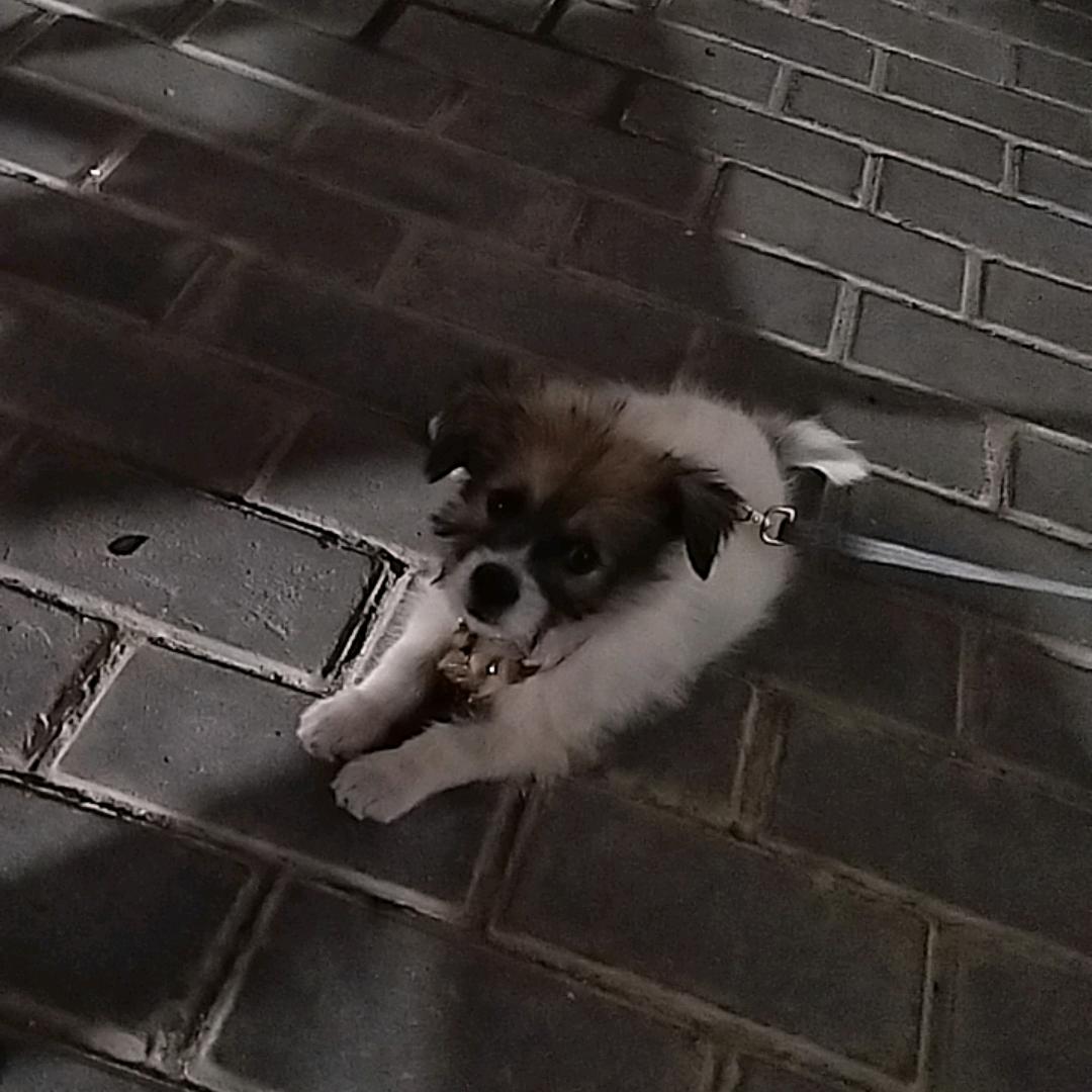 汪🍀🍀🍀🍀
