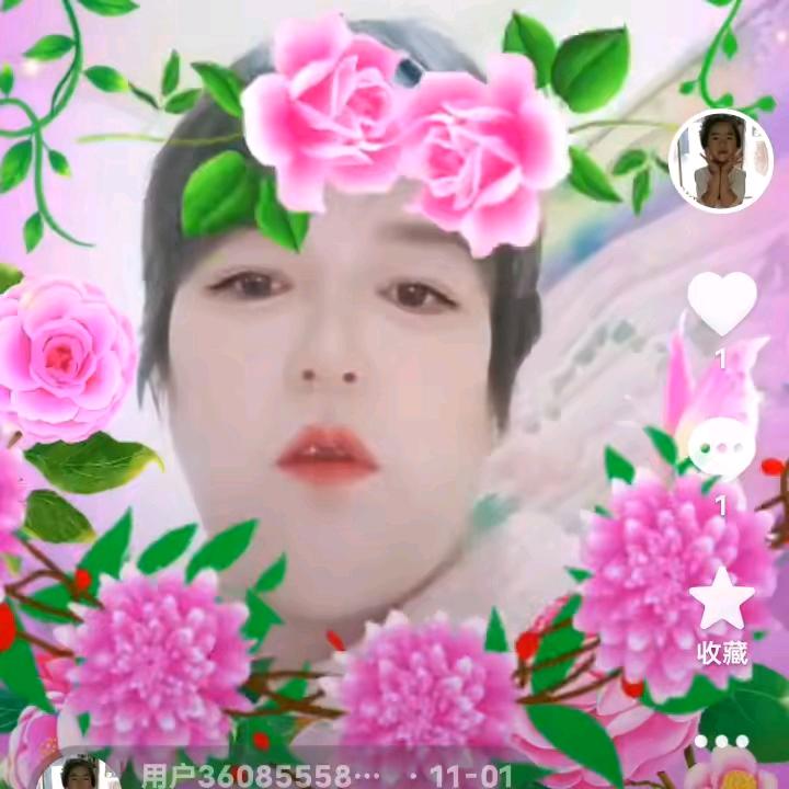 杨小莉