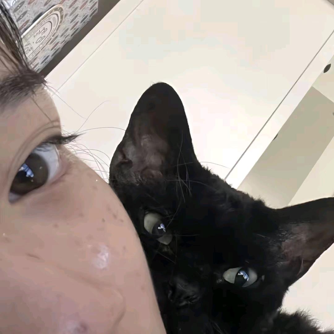 往晚见