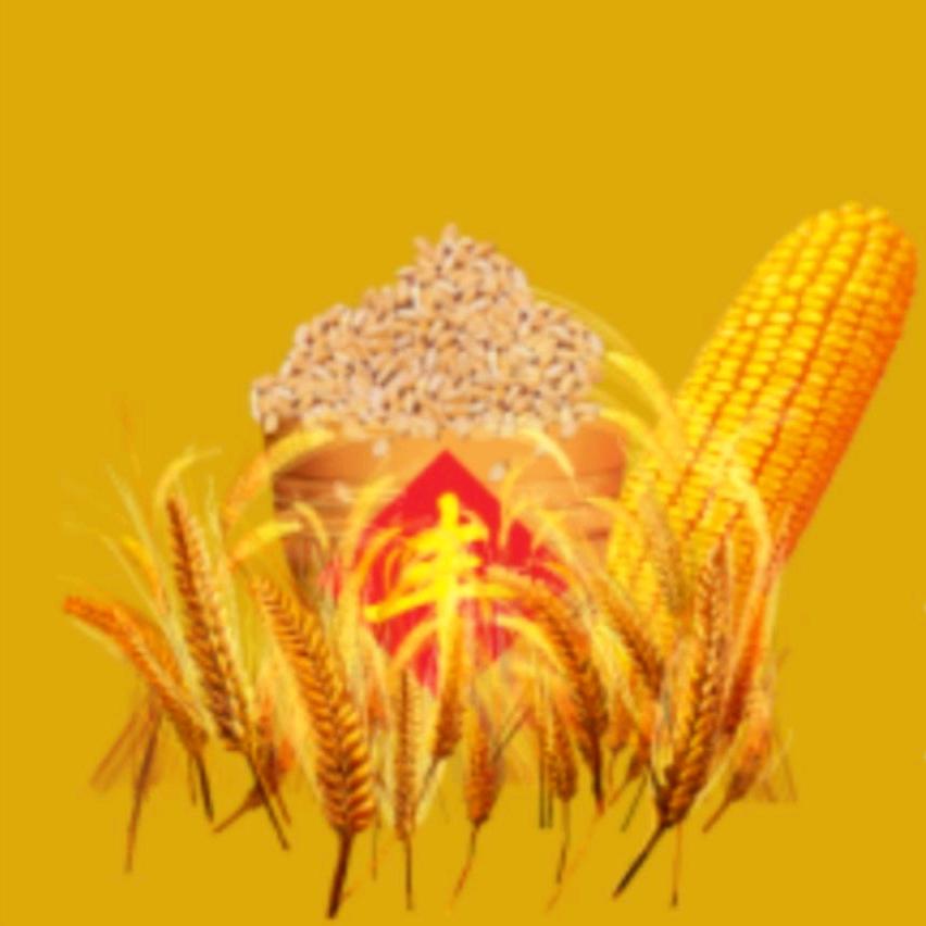 粮食搬运工