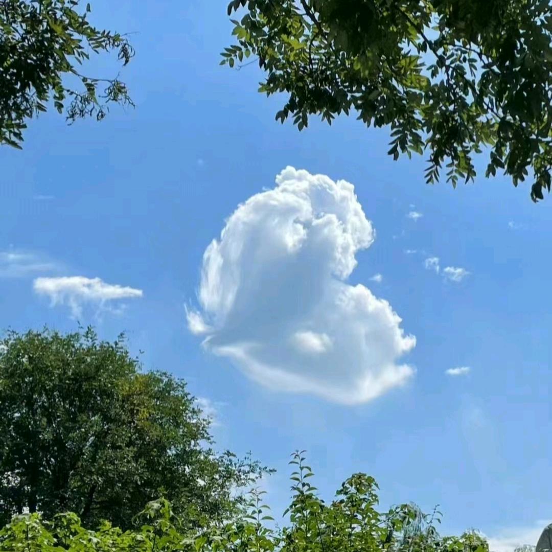 诗   和远方