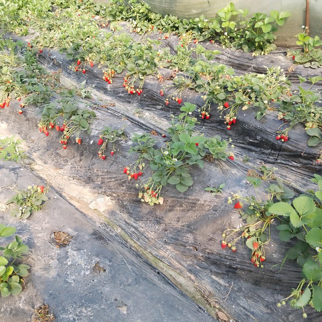 丽姐的生活记录