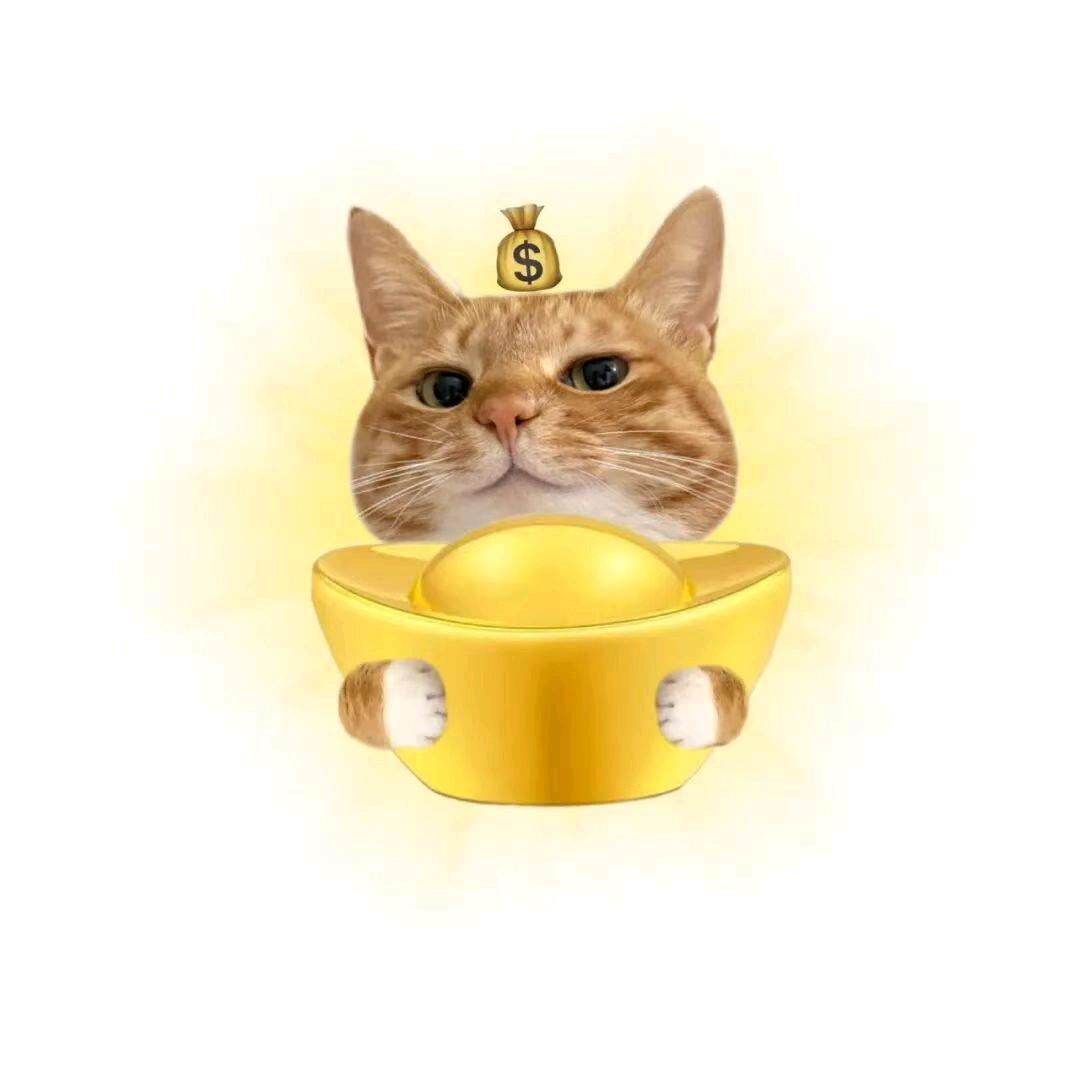 小u梨