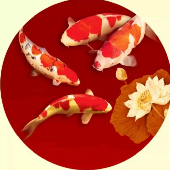 风合䒤溪¹