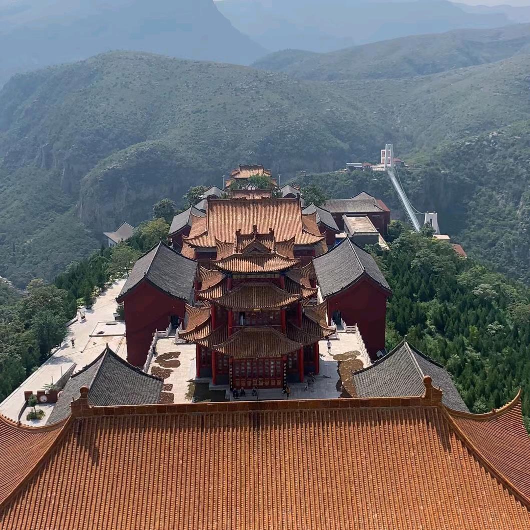 满山的猴子我锭最红