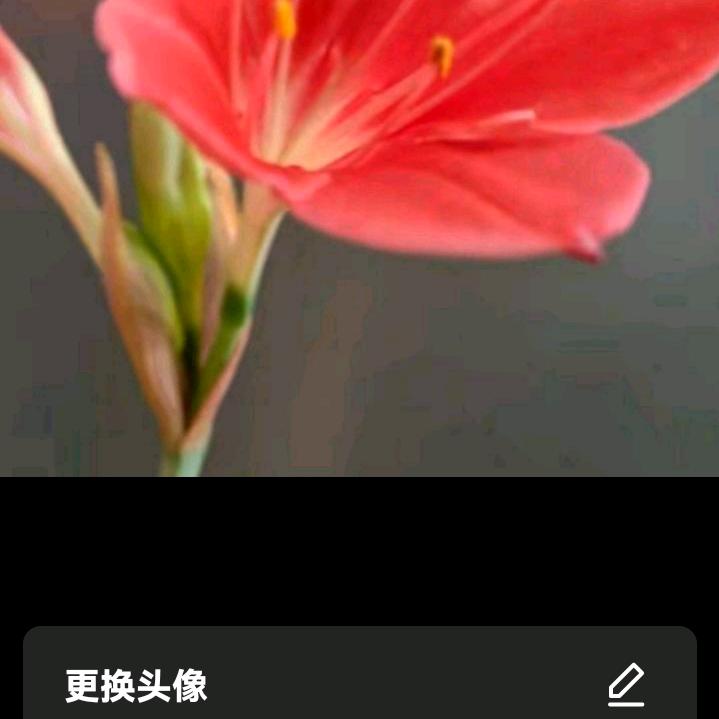 牛丽