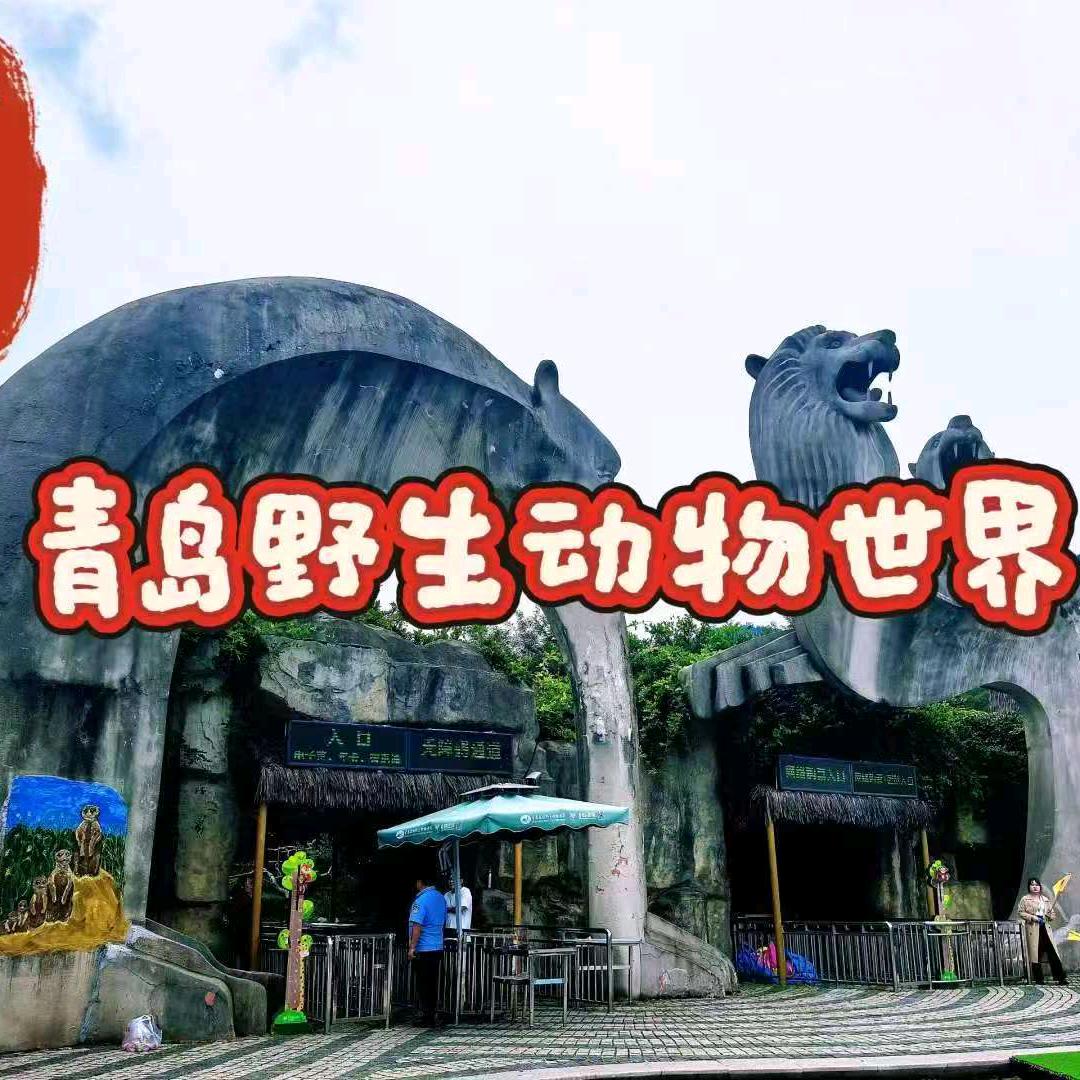 青岛森林野生动物园推荐官