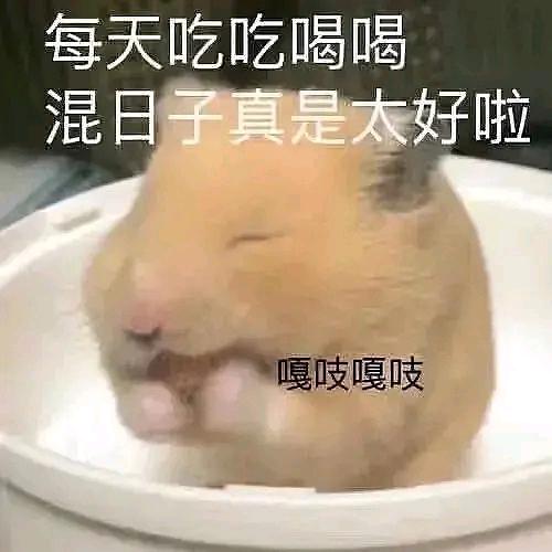 夏烬🦋