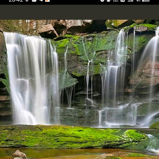 不抱怨的世界才光明