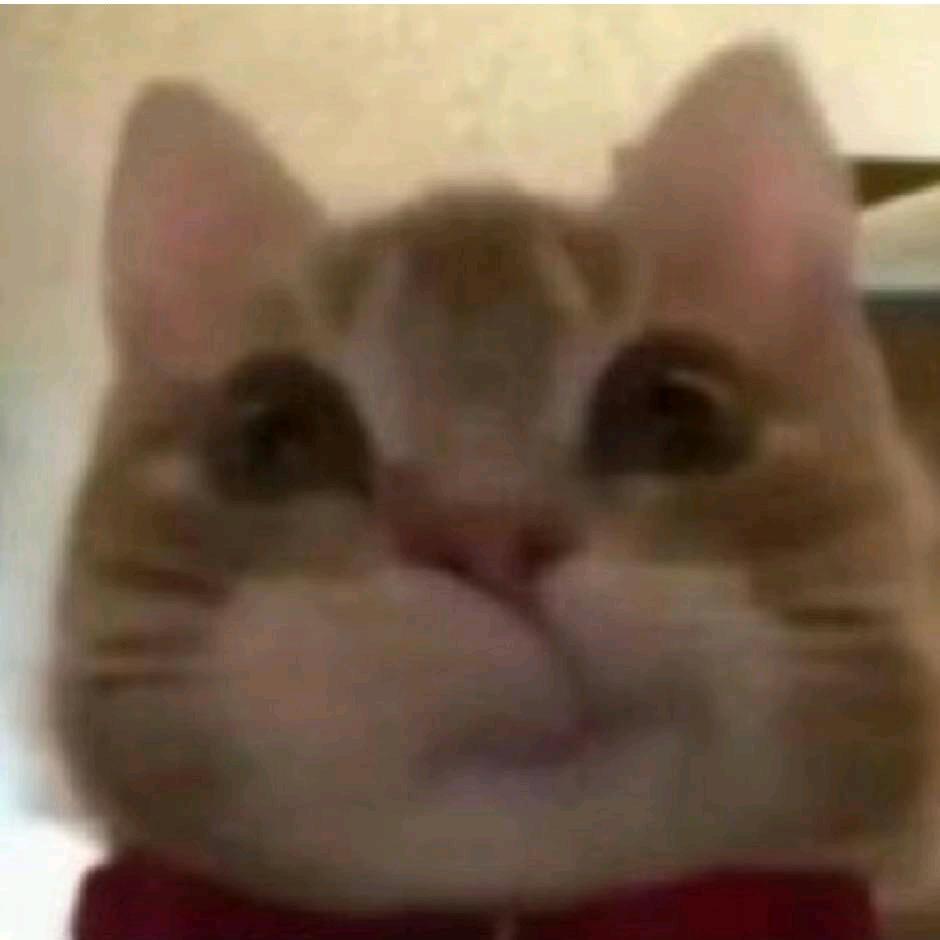 南栀离孤