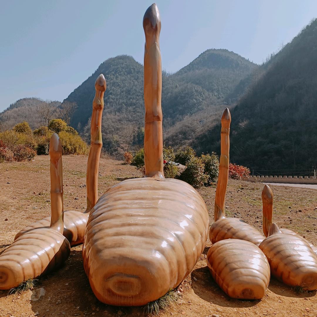 正宗野生天麻种植及销售，需要的请联系我