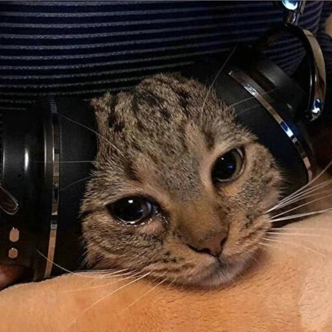 辻杁