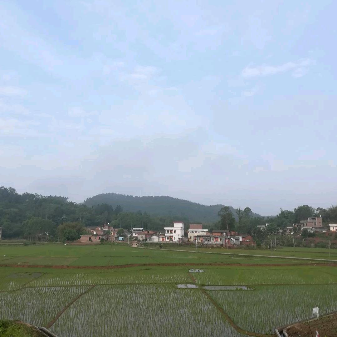 河源四季花开特产店