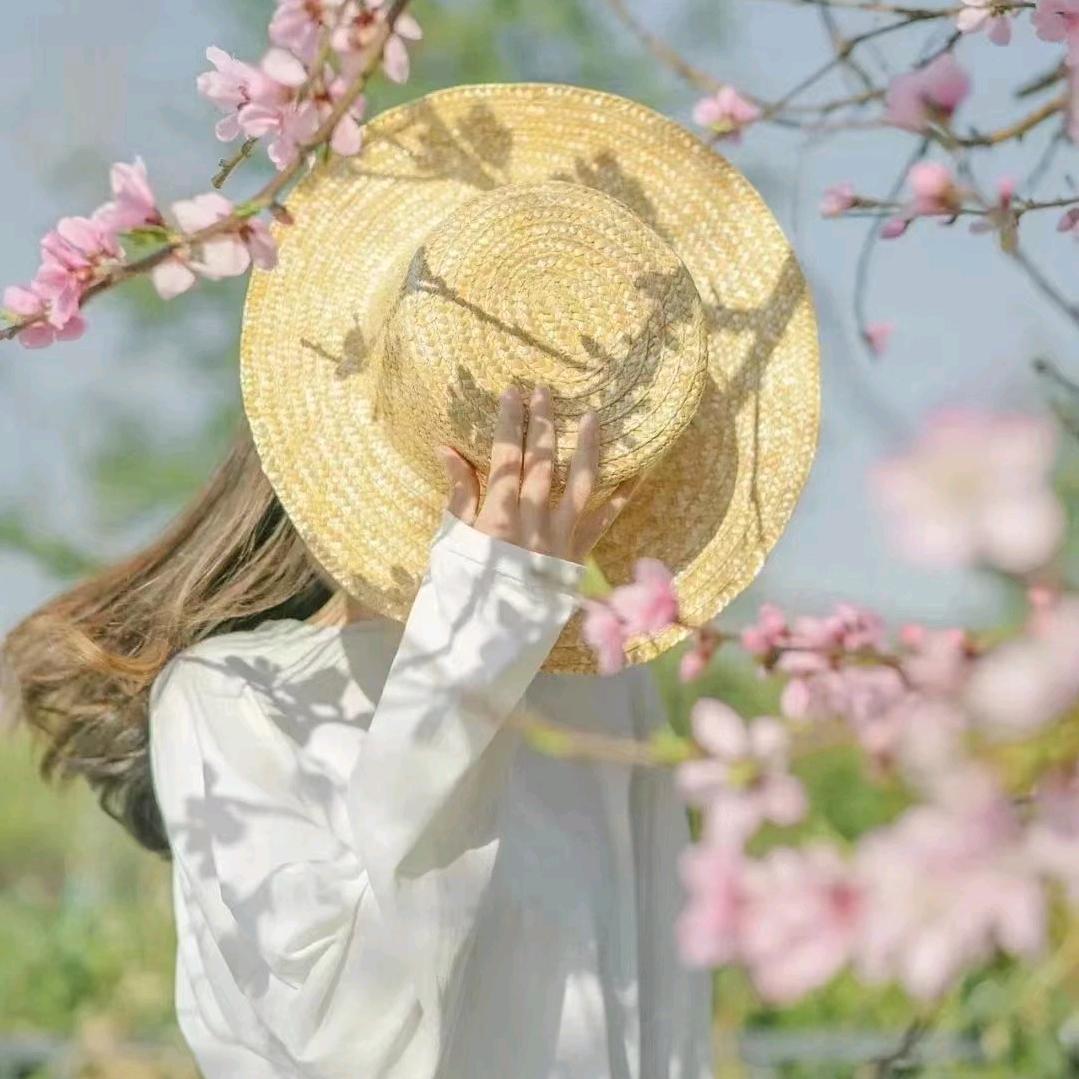 茄子影视