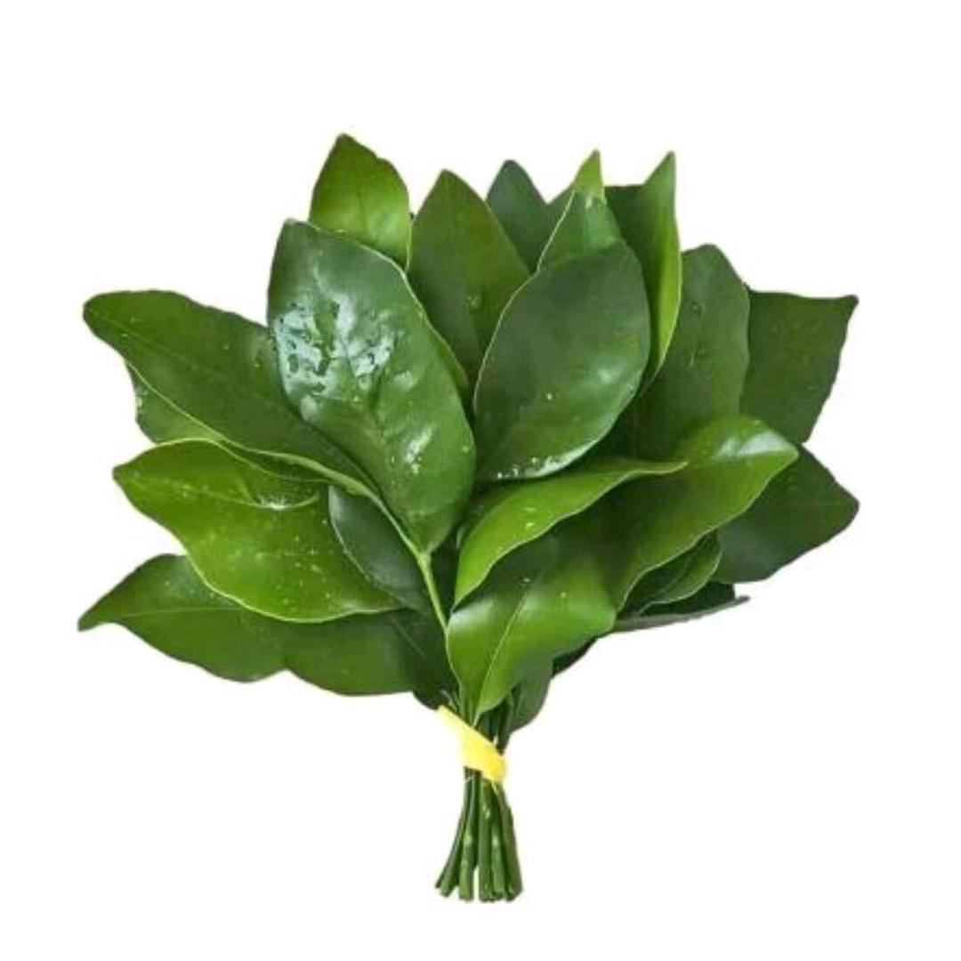 月饼的保姆