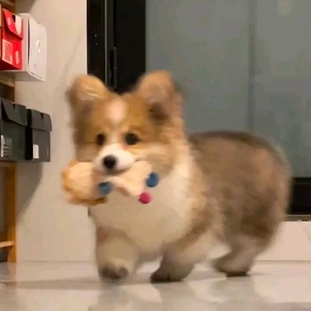瑞