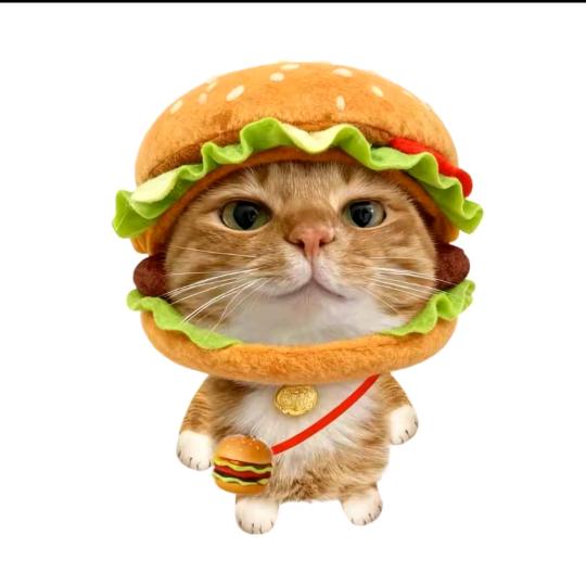 红鲤鱼与绿鲤鱼驴