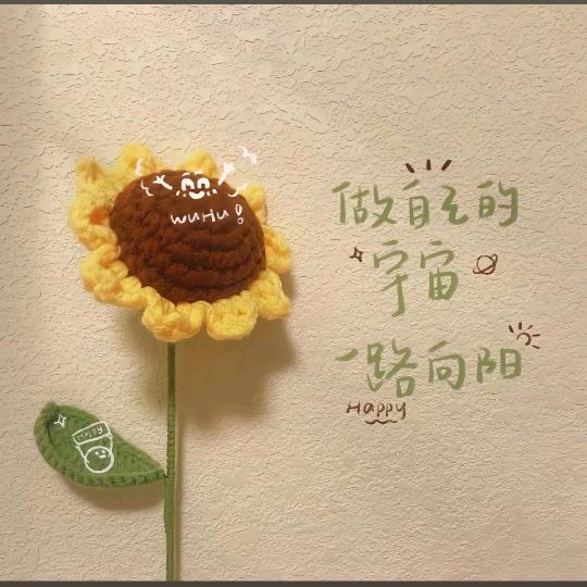 大梦梦