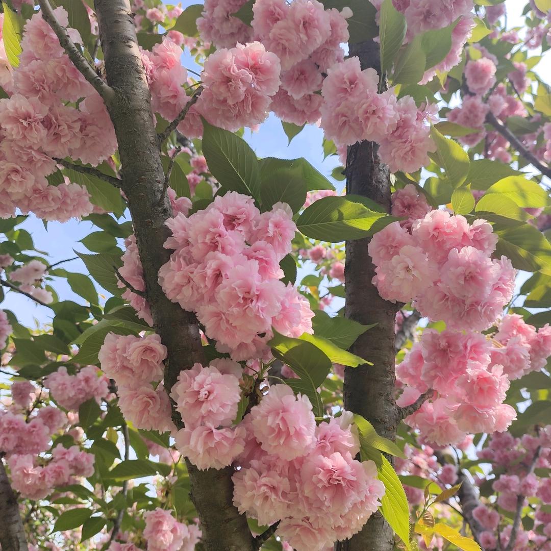 @大小宝@