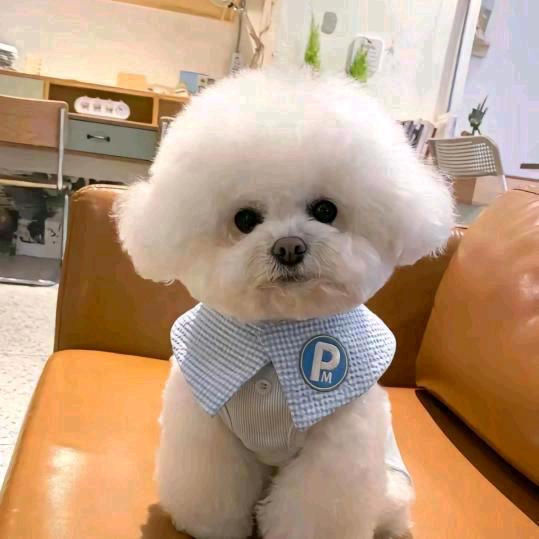 🥀淘你🤘🏻喜欢