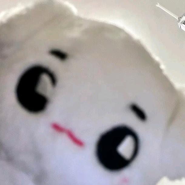 两眼一睁就是吃