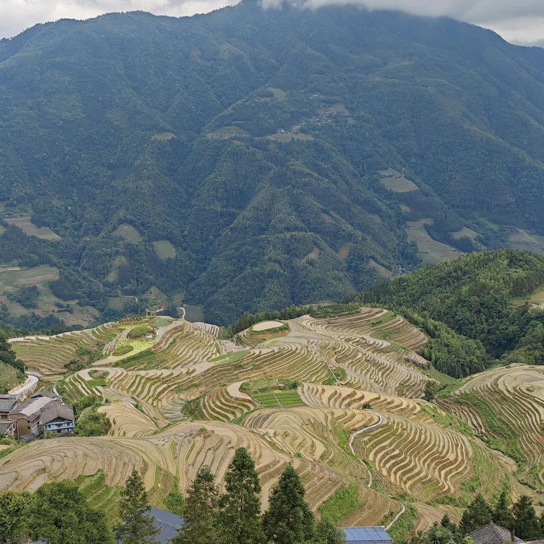 取消关注