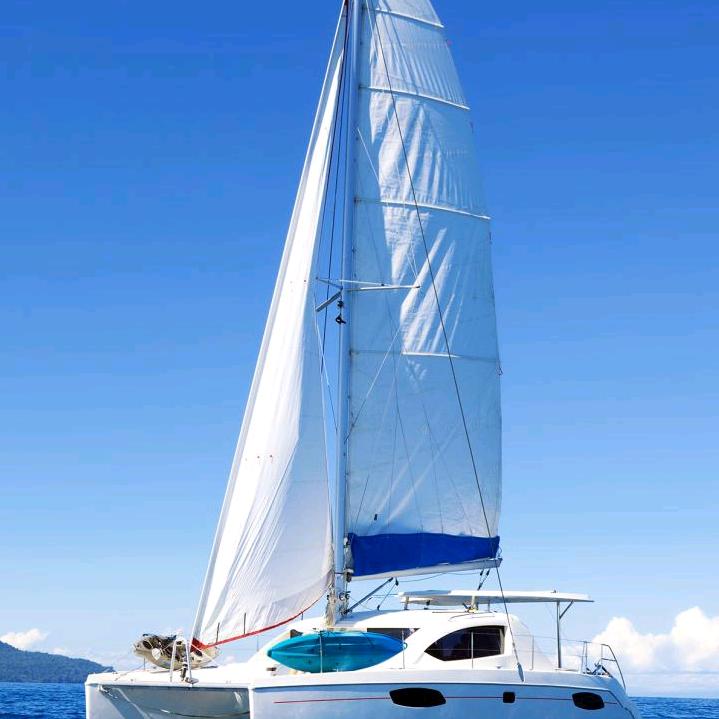 人怕无情，心怕伤