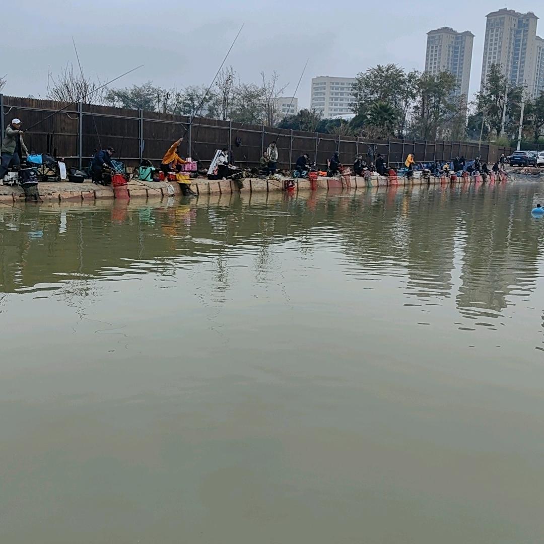 刚
