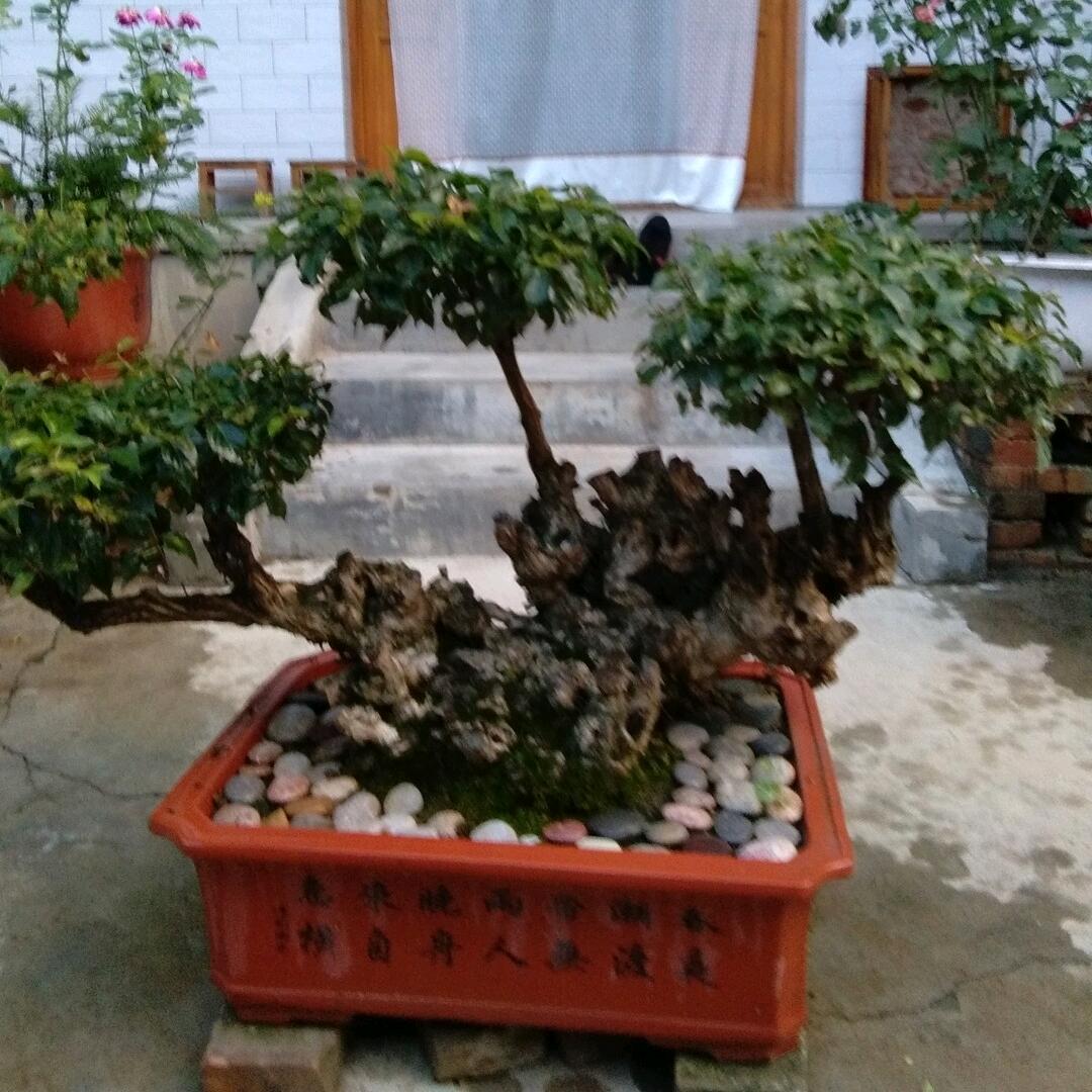 马踏飞燕