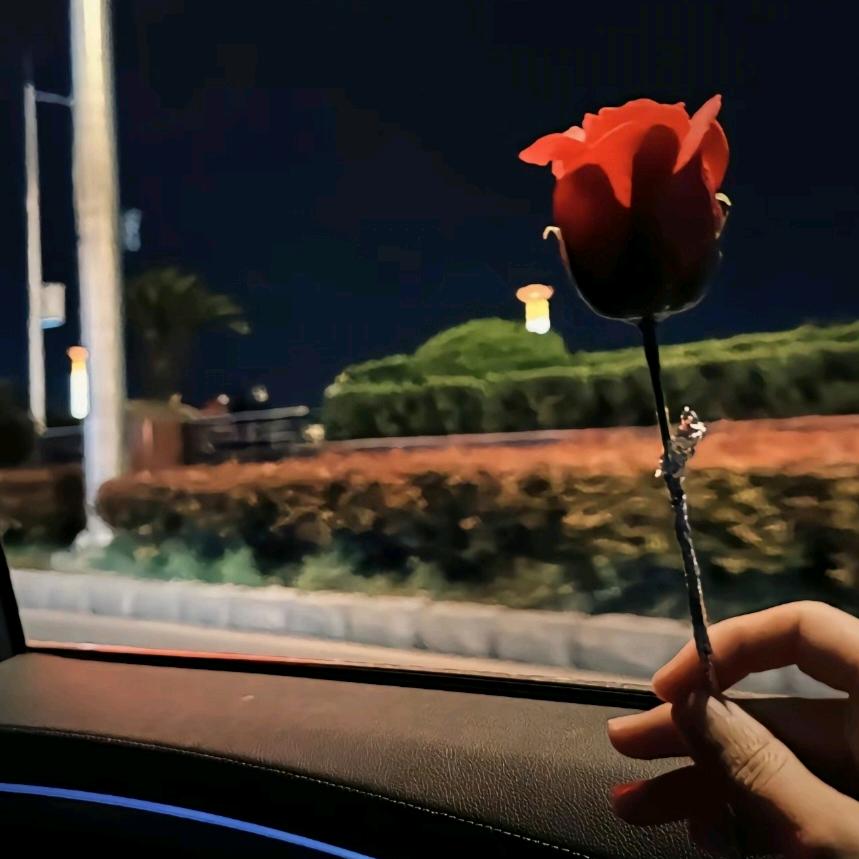 大聪明-