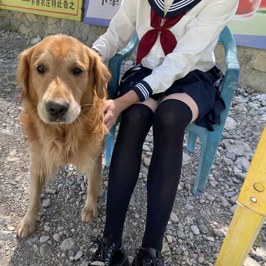 奈斯荼米兔