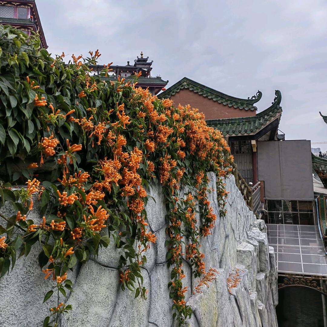 男装撤店清货，12月30号到期，🉑快递