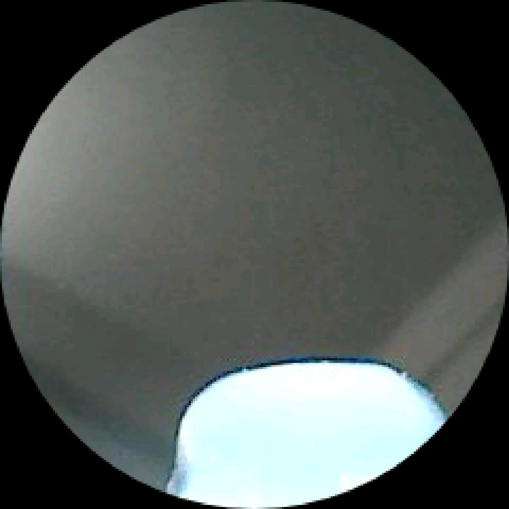 念梦尘光幻若云
