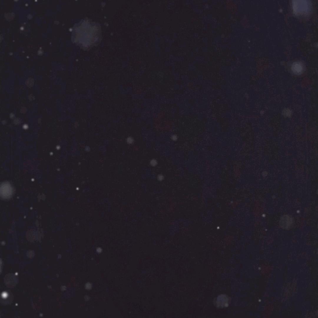 茫茫人海相遇