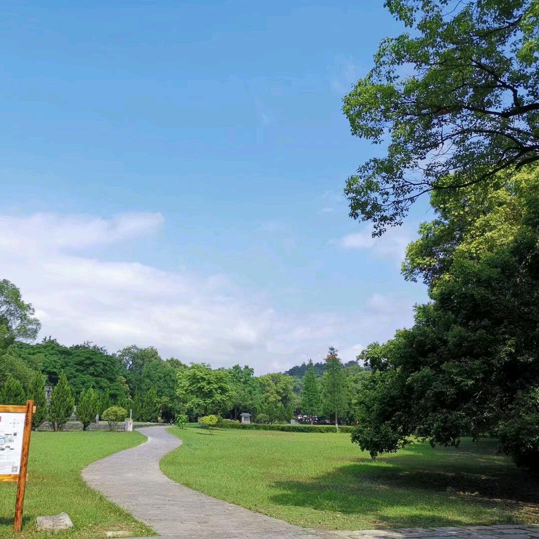 健康是福，请勿连赞