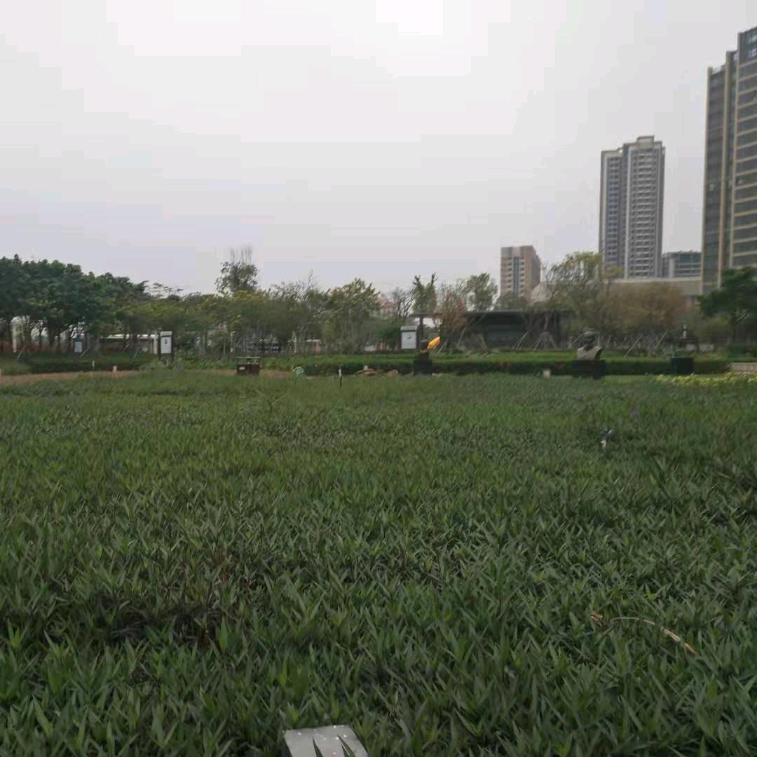 人海能否遇到你