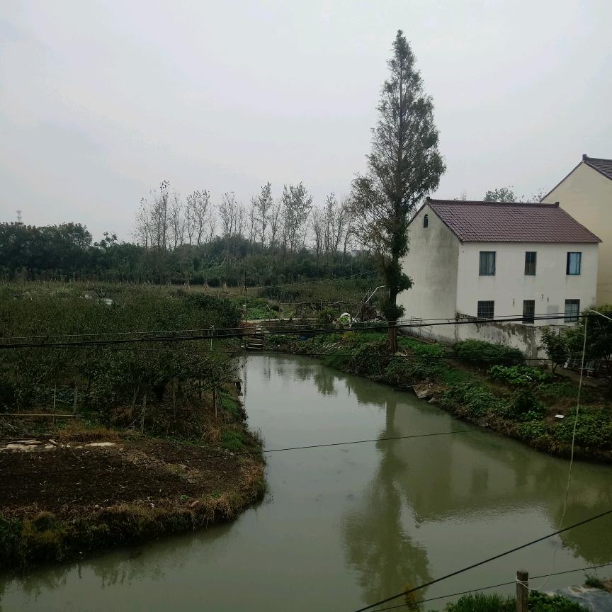 潇然