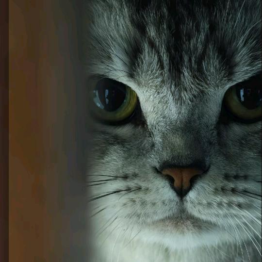 阮先生☞coffee街头:咖啡