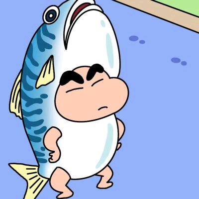 一条小新鱼