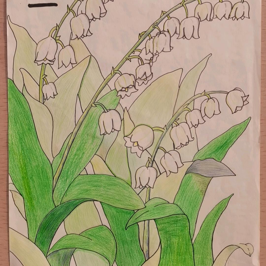 陌上花开