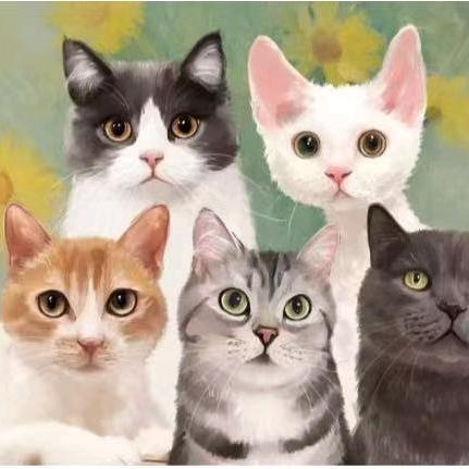 诸城狗猫繁育基地