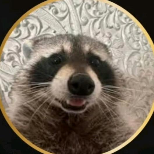 🦝浣熊大王！