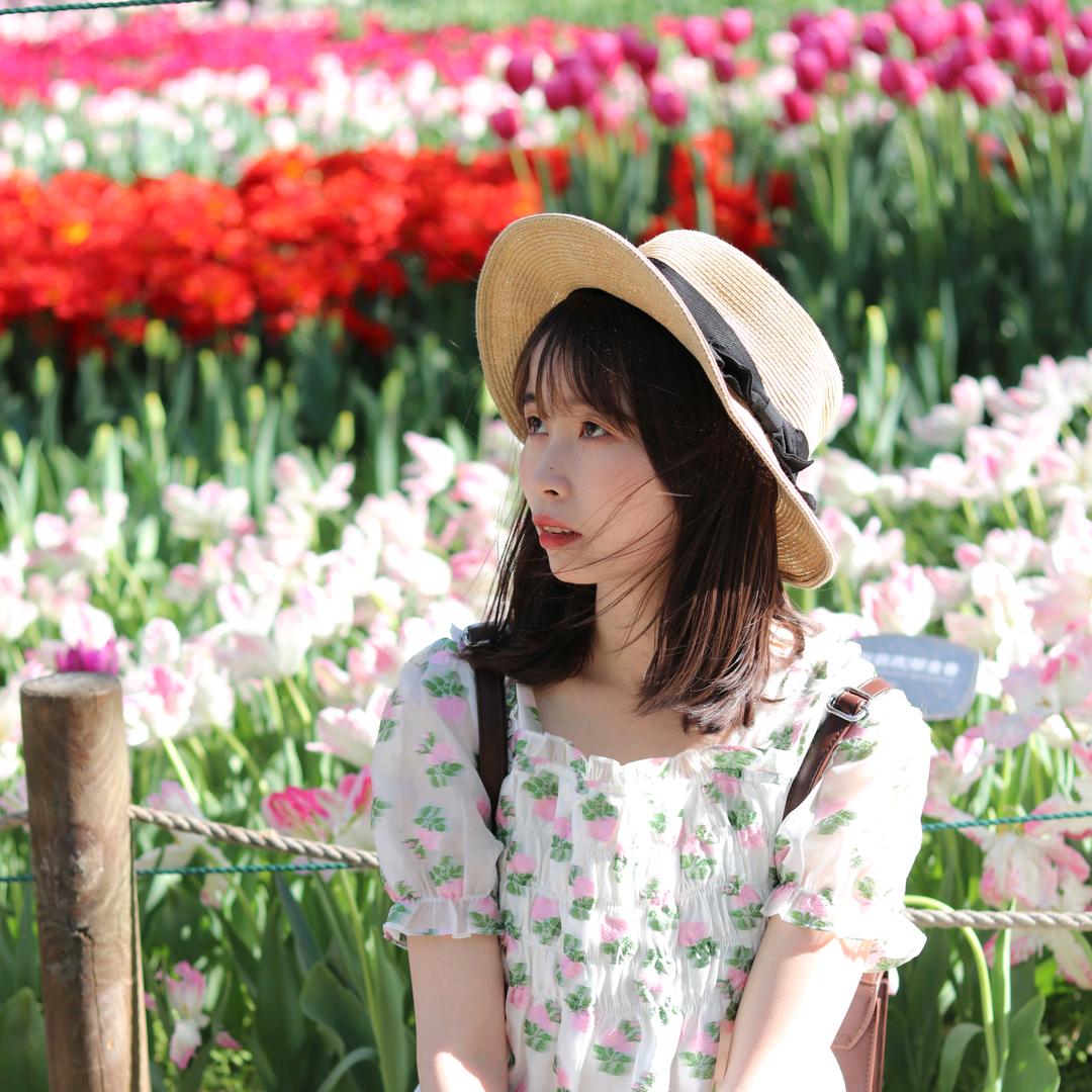 梨花带鱼
