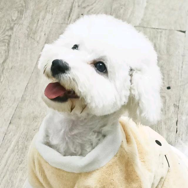 🌈伟