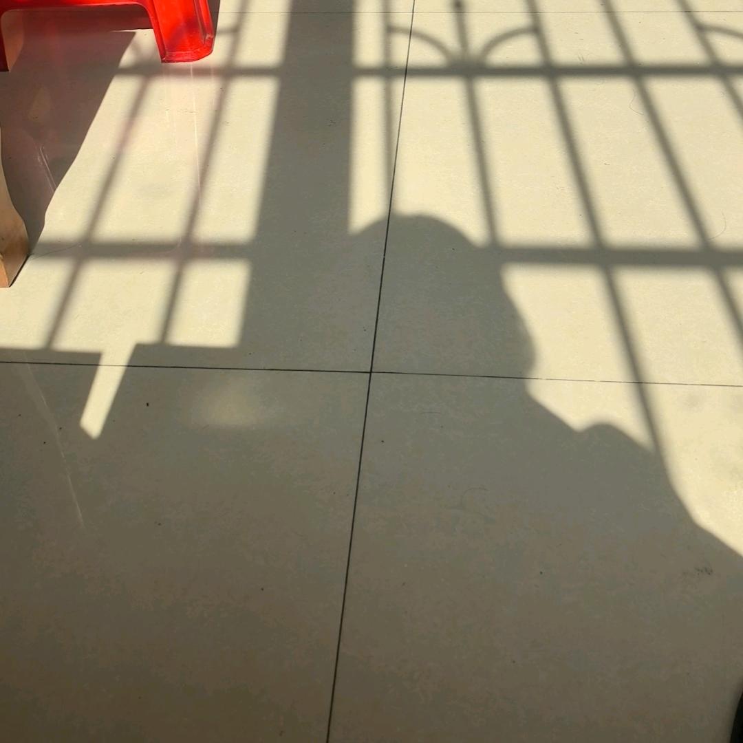 好听