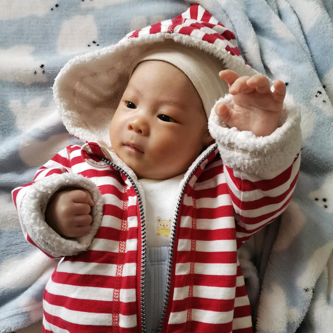 四人小家