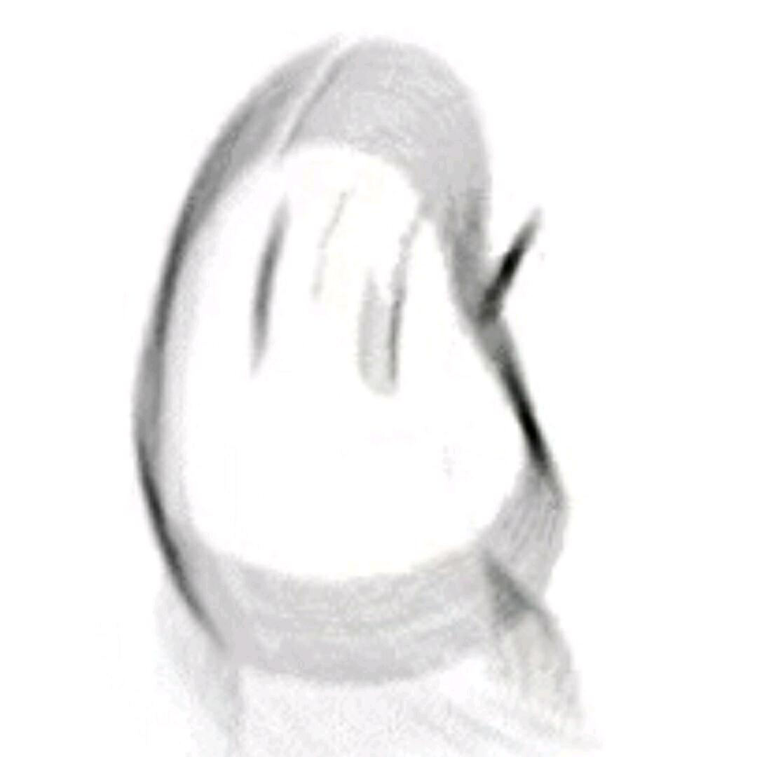 郡头像