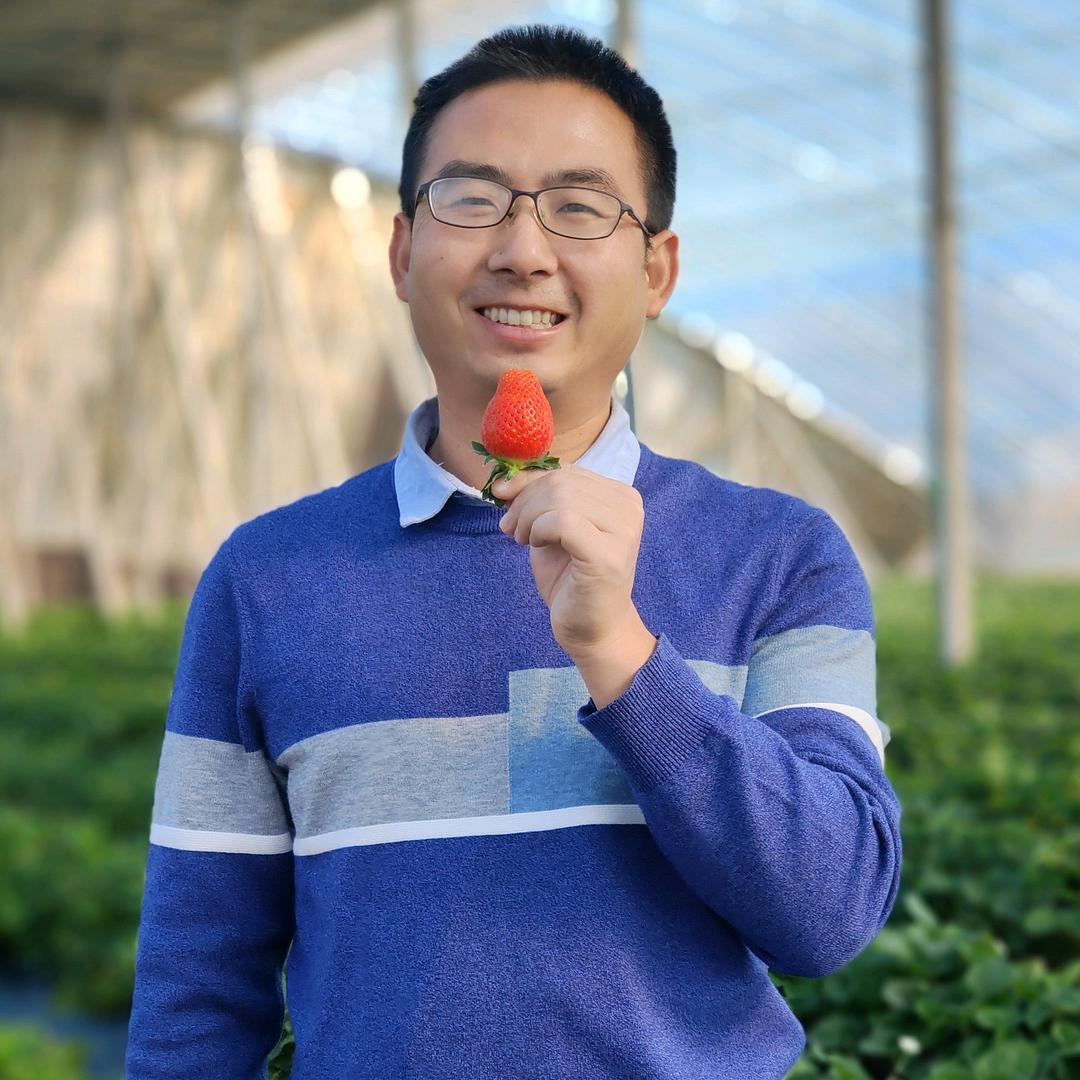 汇泽优鲜果品团购