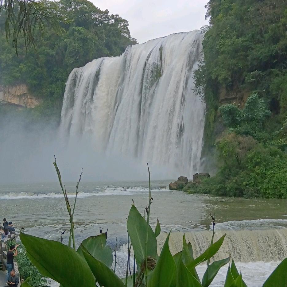 春风十月……飞跃电商